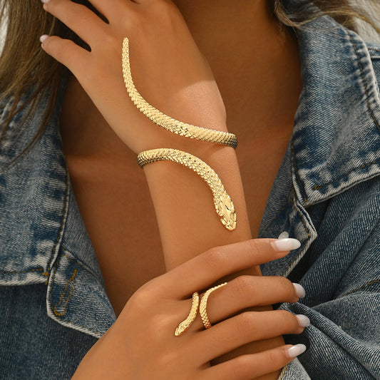 Serpent Grace - Bracelet & Ring Set