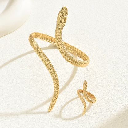 Serpent Grace - Bracelet & Ring Set